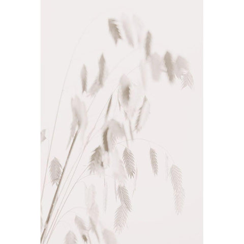 Dried Grass_pink Black Modern Wood Framed Art Print with Double Matting by 1x Studio III