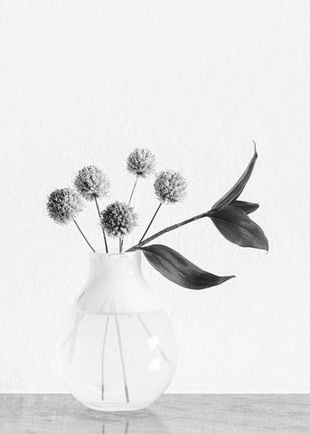 Vase_ chives flower White Modern Wood Framed Art Print with Double Matting by 1x Studio III