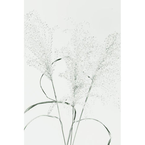 Dried Grass_green Gold Ornate Wood Framed Art Print with Double Matting by 1x Studio III