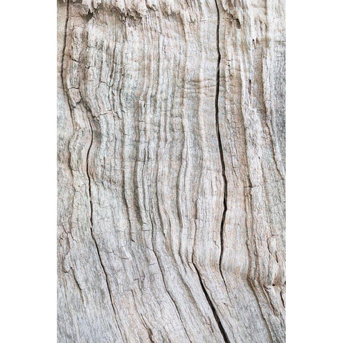 Wood Pattern Black Modern Wood Framed Art Print by 1x Studio III