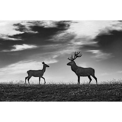 Meeting Black Modern Wood Framed Art Print with Double Matting by Kravanja, Jure