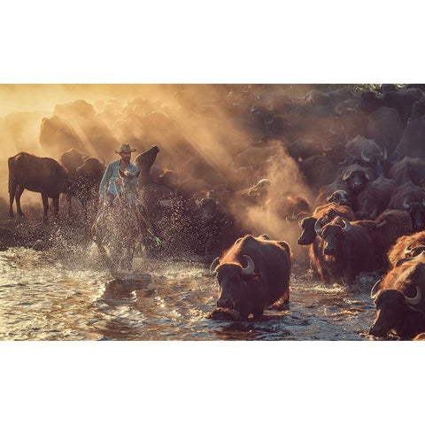 The Buffalo Shepherd Black Modern Wood Framed Art Print with Double Matting by Aktar, Meric