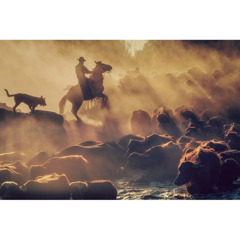 The Buffalo Shepherd White Modern Wood Framed Art Print by Aktar, Meric