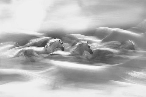 Morning Dream White Modern Wood Framed Art Print with Double Matting by Malovrh, Milan