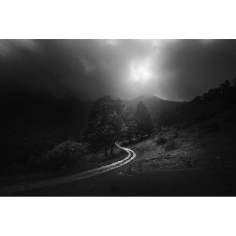 A Fleeting Moment Of Grace Black Modern Wood Framed Art Print by Manini, Filippo