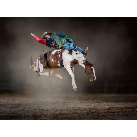 Buckjumping White Modern Wood Framed Art Print by Ma, Frank
