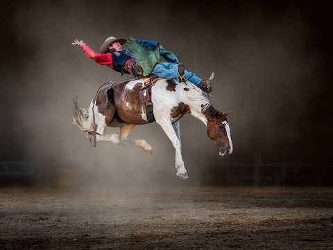 Buckjumping White Modern Wood Framed Art Print with Double Matting by Ma, Frank