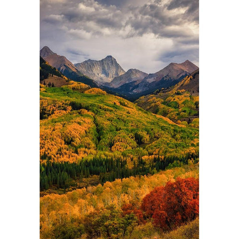 Capitol Peak Gold Ornate Wood Framed Art Print with Double Matting by Zheng, Michael