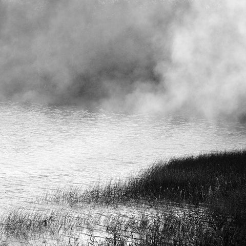 Lake In Fog 2021 Gold Ornate Wood Framed Art Print with Double Matting by Riis, Poul-Erik
