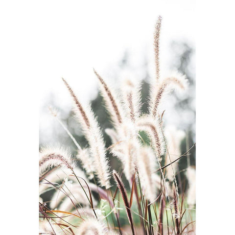 Grass Black Modern Wood Framed Art Print by 1x Studio III