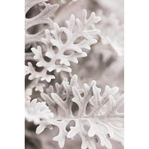 Silver Leaves Black Modern Wood Framed Art Print by 1x Studio III