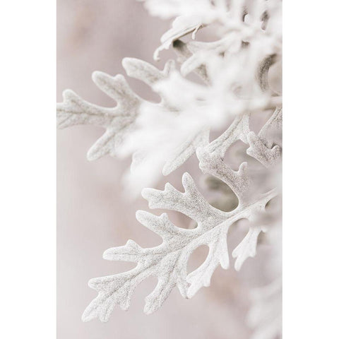 Silver Leaves No 2 Black Modern Wood Framed Art Print by 1x Studio III