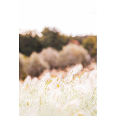 Meadow Black Modern Wood Framed Art Print with Double Matting by 1x Studio III