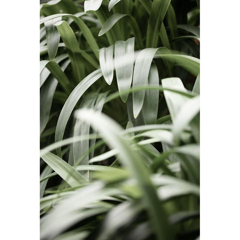 Green Leaves White Modern Wood Framed Art Print by 1x Studio III