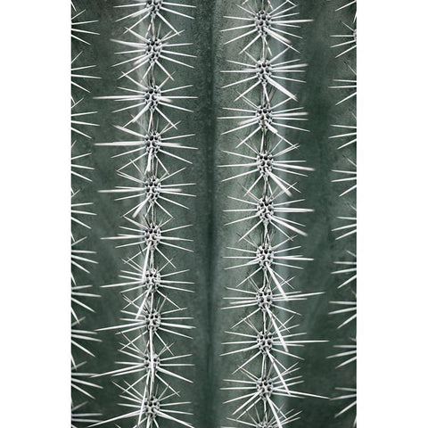 Cactus Green Black Modern Wood Framed Art Print with Double Matting by 1x Studio III
