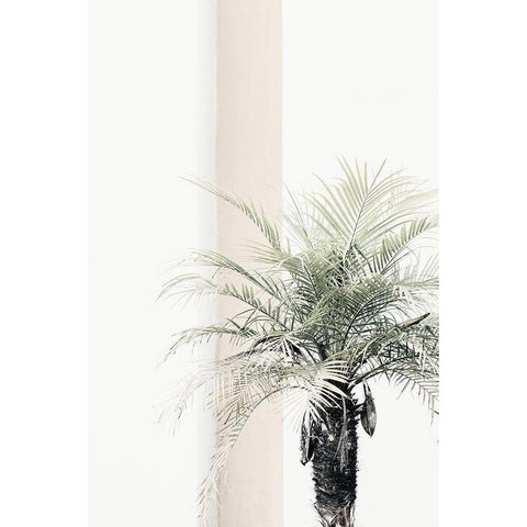 Palm tree Gold Ornate Wood Framed Art Print with Double Matting by 1x Studio III