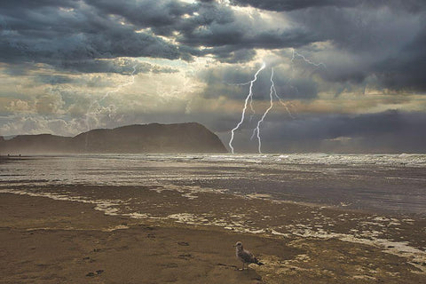 Calm And Storm Black Ornate Wood Framed Art Print with Double Matting by Kulkarni, Sunil