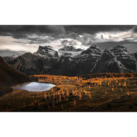 A Burst Of Gold In Larch Valley Black Modern Wood Framed Art Print with Double Matting by G, May