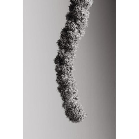 Seed Capsule Black and White Gold Ornate Wood Framed Art Print with Double Matting by 1x Studio III