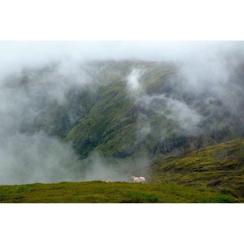Sheep In The Clouds White Modern Wood Framed Art Print by Allen, Elizabeth