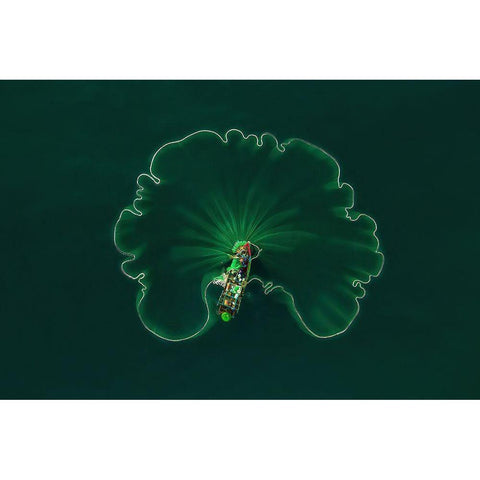 Ocean Lotus Leaf Black Modern Wood Framed Art Print with Double Matting by Cao, Alex