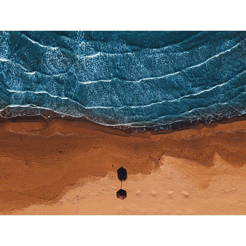 The Sentinel White Modern Wood Framed Art Print by Petrini, Alessandro