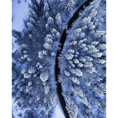 The road not taken White Modern Wood Framed Art Print by Razvan