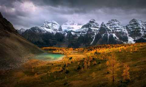 Larch Valley White Modern Wood Framed Art Print with Double Matting by P., Ruiqing