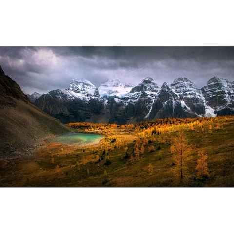 Larch Valley Gold Ornate Wood Framed Art Print with Double Matting by P., Ruiqing