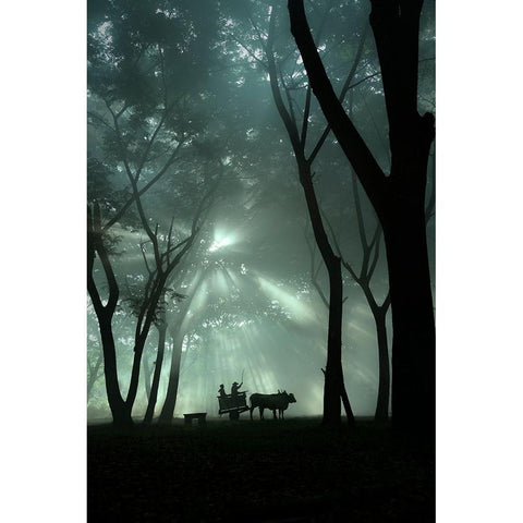 oxcart silhouette White Modern Wood Framed Art Print by Octavandy