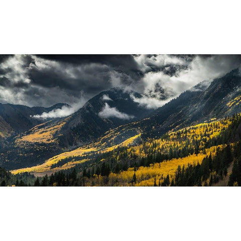 Untitled White Modern Wood Framed Art Print by Ali Amir, Abbas