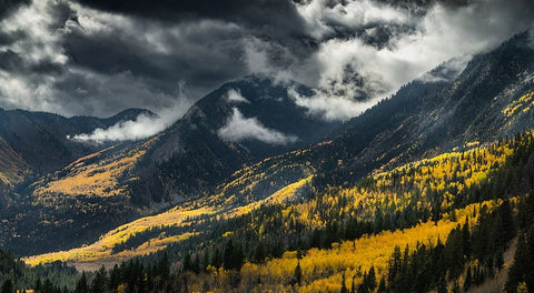 Untitled Black Ornate Wood Framed Art Print with Double Matting by Ali Amir, Abbas