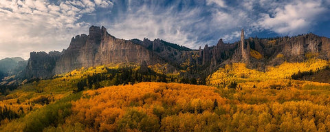 Golden Carpet Under Castle Rocks Black Ornate Wood Framed Art Print with Double Matting by Xu, Mei