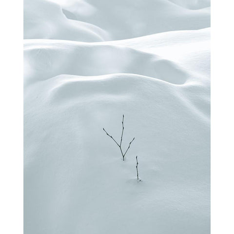 Minimalism White Modern Wood Framed Art Print by Miroslaw