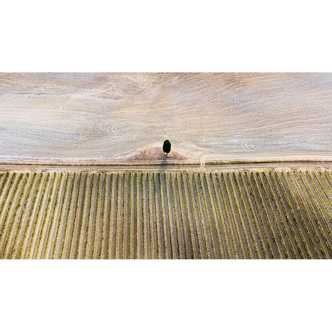 Il Re E Il Suo Esercito Black Modern Wood Framed Art Print with Double Matting by Lavezzo, Luca