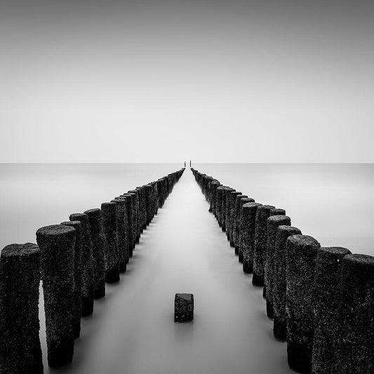 Image Only