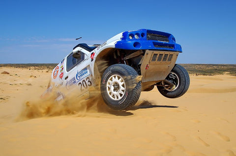 KING OF DESERT White Modern Wood Framed Art Print with Double Matting by Alaberdov, Arsen