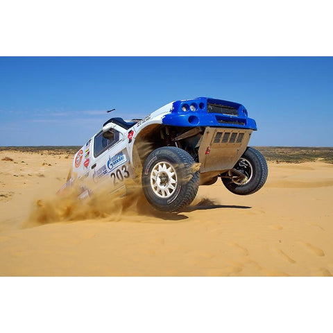 KING OF DESERT White Modern Wood Framed Art Print by Alaberdov, Arsen