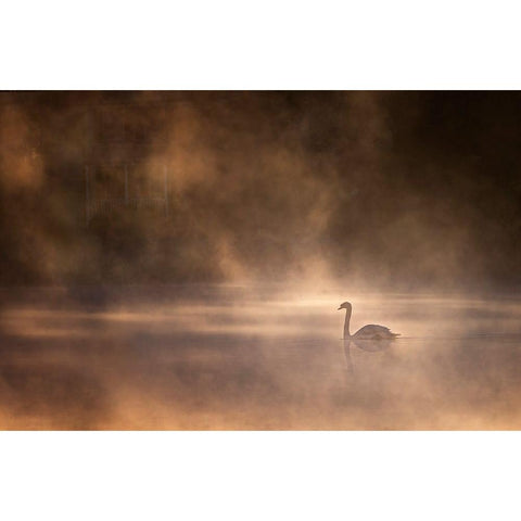 Foggy morning Black Modern Wood Framed Art Print with Double Matting by Zhong, John-Mei