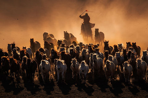 Ten Thousand Steeds Gallop White Modern Wood Framed Art Print with Double Matting by Liao, Yuhan
