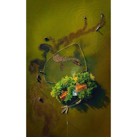 The Buffalo Man White Modern Wood Framed Art Print by Cao, Alex