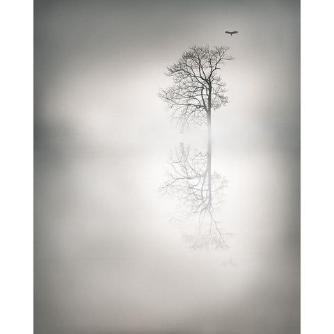 Mystic Flight Gold Ornate Wood Framed Art Print with Double Matting by Gauvreau, Yves