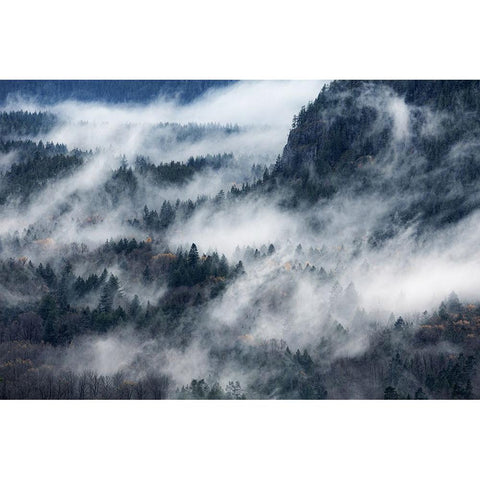 A Valley In The Fog Black Modern Wood Framed Art Print with Double Matting by Yamada, Tomomi