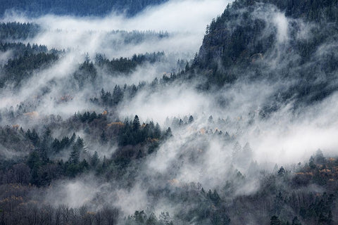 A Valley In The Fog Black Ornate Wood Framed Art Print with Double Matting by Yamada, Tomomi