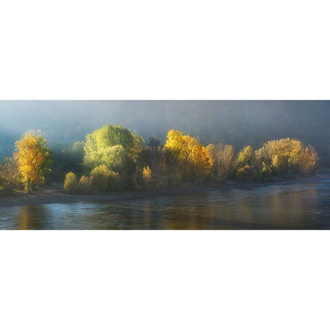 Side Of Light Black Modern Wood Framed Art Print with Double Matting by Jochen, Burger