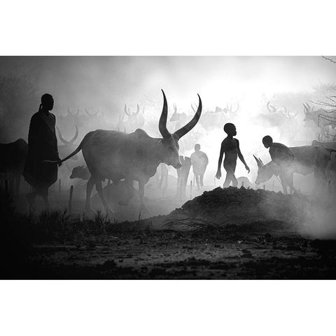 Mundari Cattle Camp Black Modern Wood Framed Art Print with Double Matting by Yosifov, Svetlin