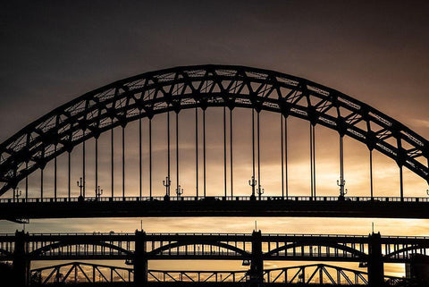 Evening-Tyne Bridges Black Ornate Wood Framed Art Print with Double Matting by Wride, Linda