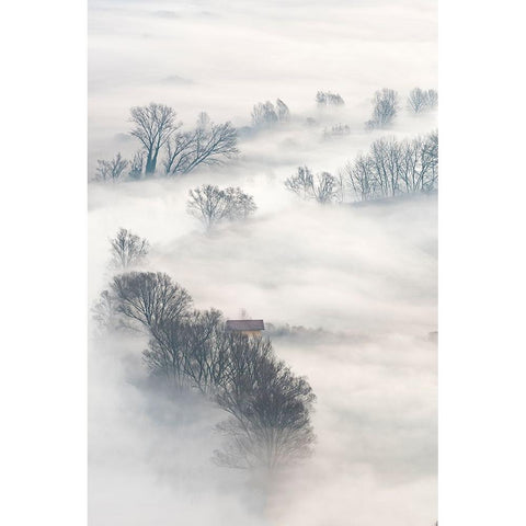 Trees In The Fog Black Modern Wood Framed Art Print with Double Matting by Galimberti, Marco