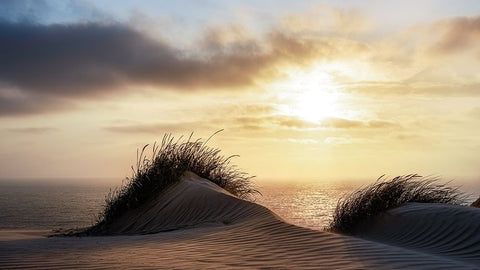 Dune - Denmark White Modern Wood Framed Art Print with Double Matting by Heggemann, Christiane