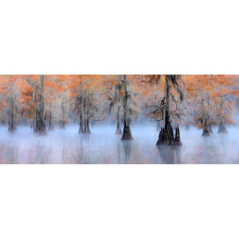 Caddo Lake Gold Ornate Wood Framed Art Print with Double Matting by Zhu, Hua